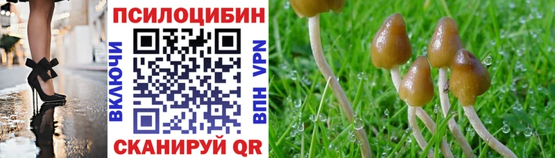 KRAKEN вход  Катайск  Псилоцибиновые грибы Psilocybine cubensis 